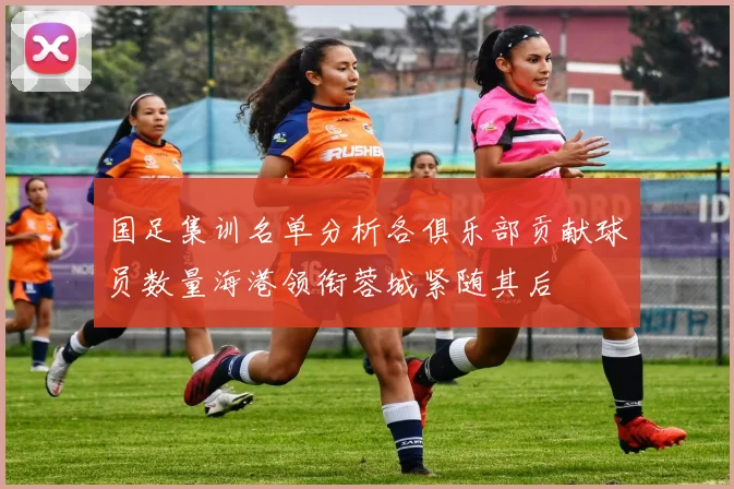 国足集训名单分析各俱乐部贡献球员数量海港领衔蓉城紧随其后